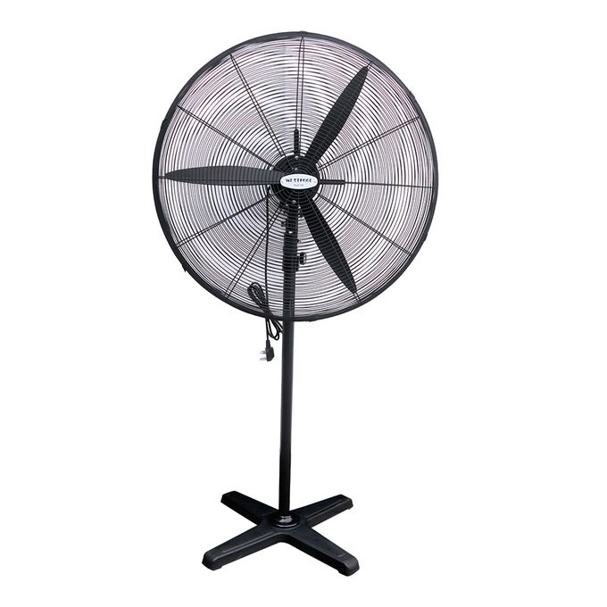 Westpool DFP-600-T Standing Fan 24 inches