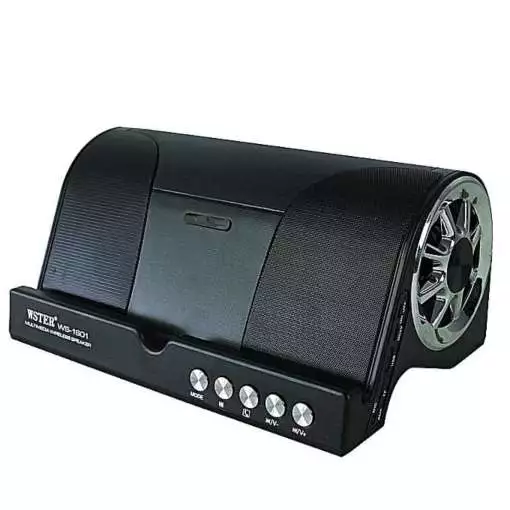 Wster WS-1601 Wireless Bluetooth Speaker – Black
