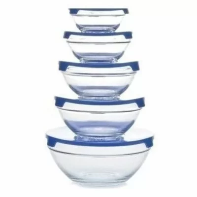5 Piece Blue Heat Resistant Glass Storage & Cooking Bowl