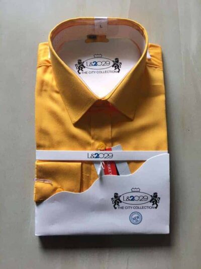 City collection-L&2029 shirt .Gold colour
